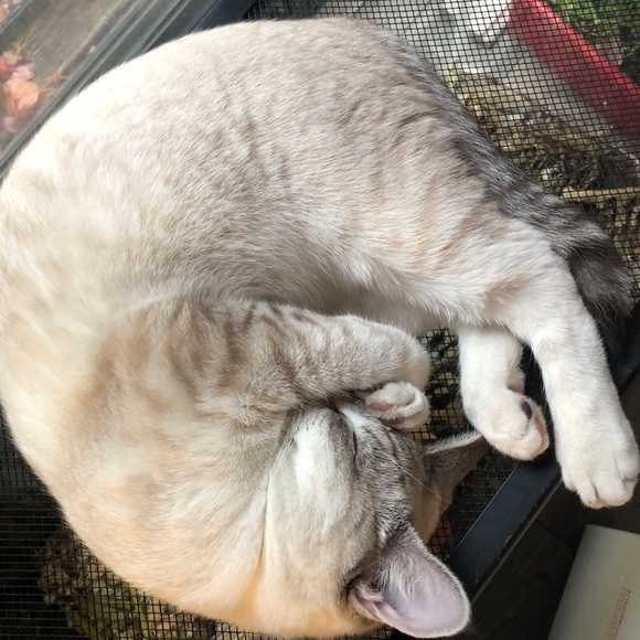 ☯️Welcome♊️I’m Angela=ALWAYS keepn it REAL&HONEST! - Picture 16 of 16